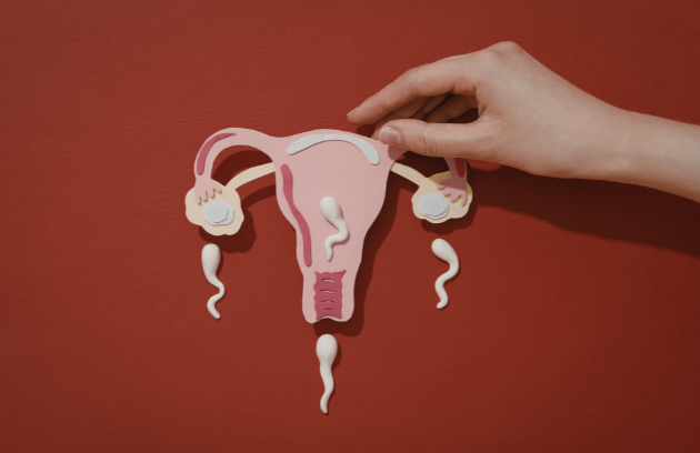 Infertility icon