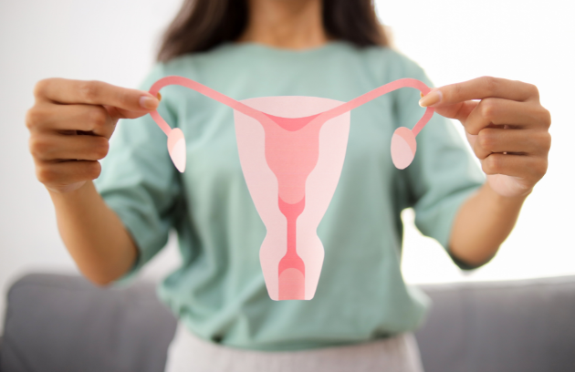 Fibroid Treatment icon
